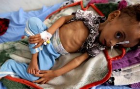 سازمان ملل درباره آغاز «شمارش معکوس تا فاجعه در یمن» هشدار داد

