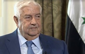 ولایتی: ولیدالمعلم شخصیت تلاشگر عرصه حفاظت از منافع سوریه بود
