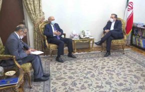 دیدار عراقچی با سفیر ارمنستان در ایران