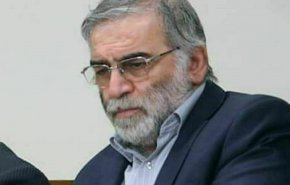 محسن فخری زاده، دانشمند حوزه هسته ای کشور ترور شد
