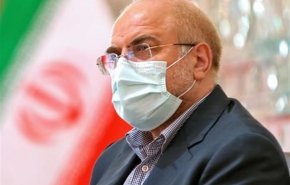 واکنش رئیس مجلس به ترور شهید محسن فخری زاده