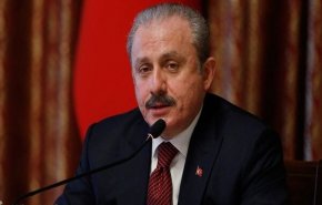   رئیس مجلس ترکیه: ترور دانشمند ایرانی یک اقدام تروریستی بود