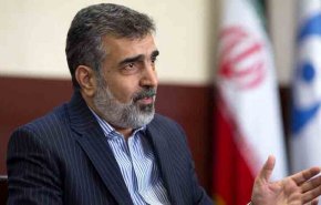 موضع سازمان انرژی اتمی در باره ترور فخری زاده و دسترسی بازرسان آژانس