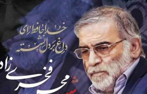 بلژیک ترور شهید فخری زاده را محکوم کرد