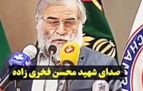 صوت منتشرنشده شهید فخری زاده درباره حاج قاسم سلیمانی