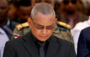 زعيم متمردي تيغراي يعلن إسقاط طائرة تابعة للجيش الاتحادي وأسر قائدها
