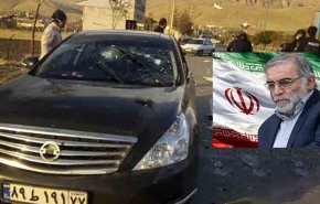 رئیس آکادمی علوم نخجوان شهادت فخری زاده را تسلیت گفت