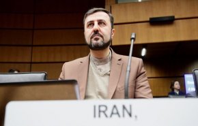 واکنش غریب آبادی به سکوت برخی کشورها در برابر ترور شهید فخری زاده