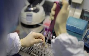 باقی ماندن آنتی بادی کرونا در بدن تا ۶ ماه