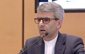 نامه ایران به مدیرکل سازمان جهانی بهداشت درباره ترور شهید فخری زاده