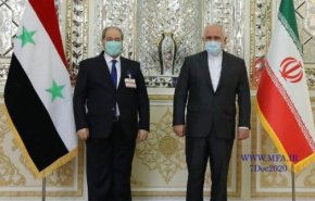 فیصل المقداد با ظریف دیدار کرد
