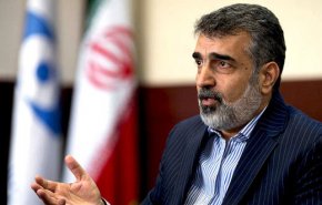 کمالوندی: توانایی غنی سازی 40 تا 60 درصد را داریم/ آژانس نباید عکس العملی داشته باشد