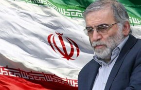 تروریسم رسانه‌ای غربی-عربی در تخریب چهره شهید فخری‌زاده 