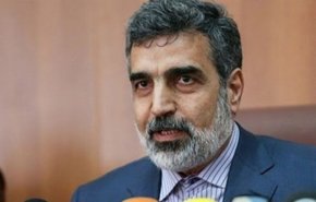 کمالوندی: به راحتی می‌توانیم ۹۰ درصد غنی سازی کنیم