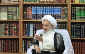 بیانیه آیت الله مکارم شیرازی پیرامون جنایت گروه‌های تکفیری در پاکستان