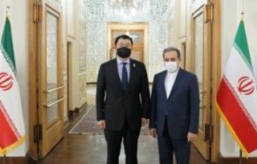 عراقچی خطاب به دیپلمات کره: از سیاسی کردن موضوع توقیف نفتکش و تبلیغات بی حاصل خودداری کنید

