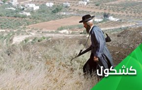 مشروعیت بخشی امارات به شهرک سازی ها؛ ورود نخستین محموله تجاری از شهرک ها به دبی