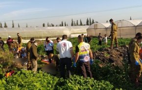 یک شهرک‌نشین صهیونیست، چهار فلسطینی را با ماشین زیر گرفت
