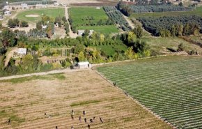 رژیم صهیونیستی، زمین‌های کشاورزی فلسطینیان را زیر آب غرق کرد
