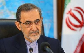 ولایتی: استاد انیس نقاش نقش بسیار مهمی در جبهه مقاومت ایفا نمود