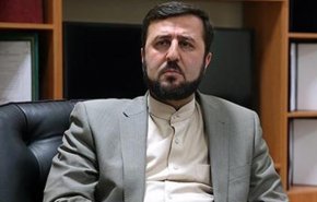 غریب آبادی: هیچ حق و امتیازی برای ادامه فعالیت‌های راستی آزمایی به آژانس ندادیم
