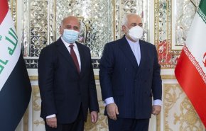 فؤاد حسین با ظریف دیدار کرد
