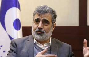 کمالوندی: ذخایر اورانیوم ۲۰ درصد ایران به ۵۵ کیلوگرم رسید/ به سرعت در موقعیتی قرار می گیریم که بهتر از قبل برجام است
