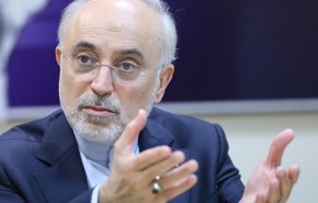 متن بیانیه ایران با آژانس با شورای عالی امنیت ملی هماهنگ شده بود