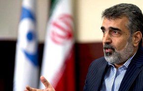 کمالوندی: همواره گفته ایم که ایران فشار و تهدید را نمی پذیرد