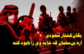 ویدئوگرافیک | 