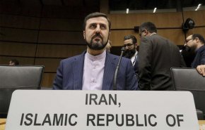 غریب آبادی در نشست شورای حکام یاد شهید فخری زاده را زنده کرد