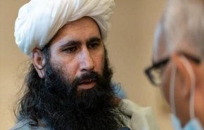 طالبان: در حال بررسی طرح پیشنهادی آمریکا هستیم