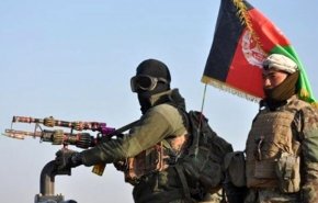 یک عضو ارشد القاعده کشته شد