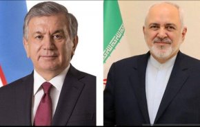 رایزنی ظریف با رئیس جمهور ازبکستان درباره مسائل دوجانبه 
