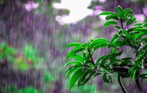 موج جدید بارش‌ها از فردا در کشور/ کاهش 7 درجه ای دما در سواحل خزر