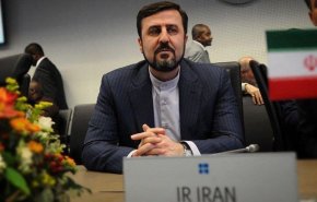 تنها گزینه روی میز ایران، لغو عملی همه تحریم ها و راستی آزمایی/  موضوع گام‌به‌گام به‌هیچ‌وجه در گفتگوها مطرح هم نشده است