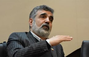 سخنگوی سازمان انرژی اتمی دچار حادثه شد
