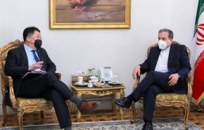 عراقچی: بلوکه کردن منابع مالی ایران موجب از دست رفتن جایگاه کره جنوبی نزد ملت ایران شده است
