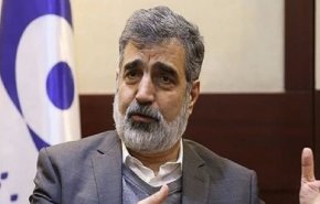 کمالوندی: آژانس روند سازنده ایجاد شده را تخریب نکند