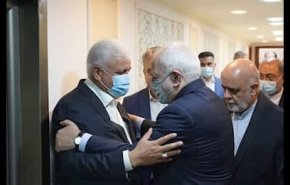 دیدار ظریف با فالح الفیاض