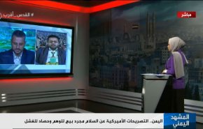اليمن.. التصريحات الأميركية عن السلام مجرد بيع للوهم وحصاد للفشل
