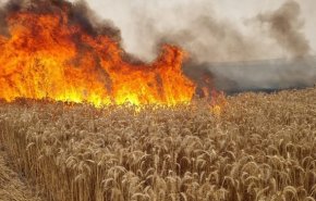 بادبادک‌ فلسطینیان فعالیت قطارهای رژیم صهیونیستی را متوقف کرد