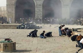 شاهد..قوات الاحتلال تستبيح الأقصى بالقنابل والرصاص ضد المصلين والمعتكفين