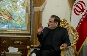 شمخانی:  تارهای عنکبوتی صهیونیست‌ها با موشک‌های مقاومت فروپاشید
