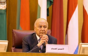 أبو الغيط: الاعتداءات الإسرائيلية الوحشية على غزة أسهمت في تعرية الاحتلال أمام العالم