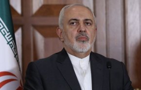 ظریف در نشست اضطراری مجازی سازمان همکاری اسلامی درباره تحولات فلسطین شرکت کرد