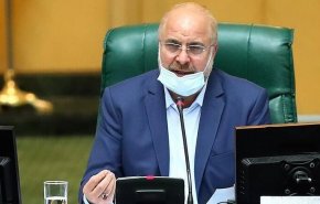 رئیس مجلس: آژانس حق دسترسی به تصاویر مراکز هسته‌ای را ندارد