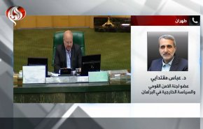 مقتدایی: ایران به دنبال تضمین منافع خود براساس قوانین بین المللی است