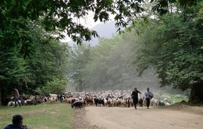 هشدار هواشناسی درباره وقوع سیلاب و آبگرفتگی معابر در برخی استان‌ها