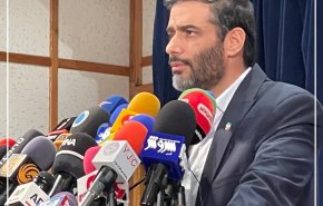 سعید محمد: نظر شورای نگهبان  فصل‌الخطاب است
